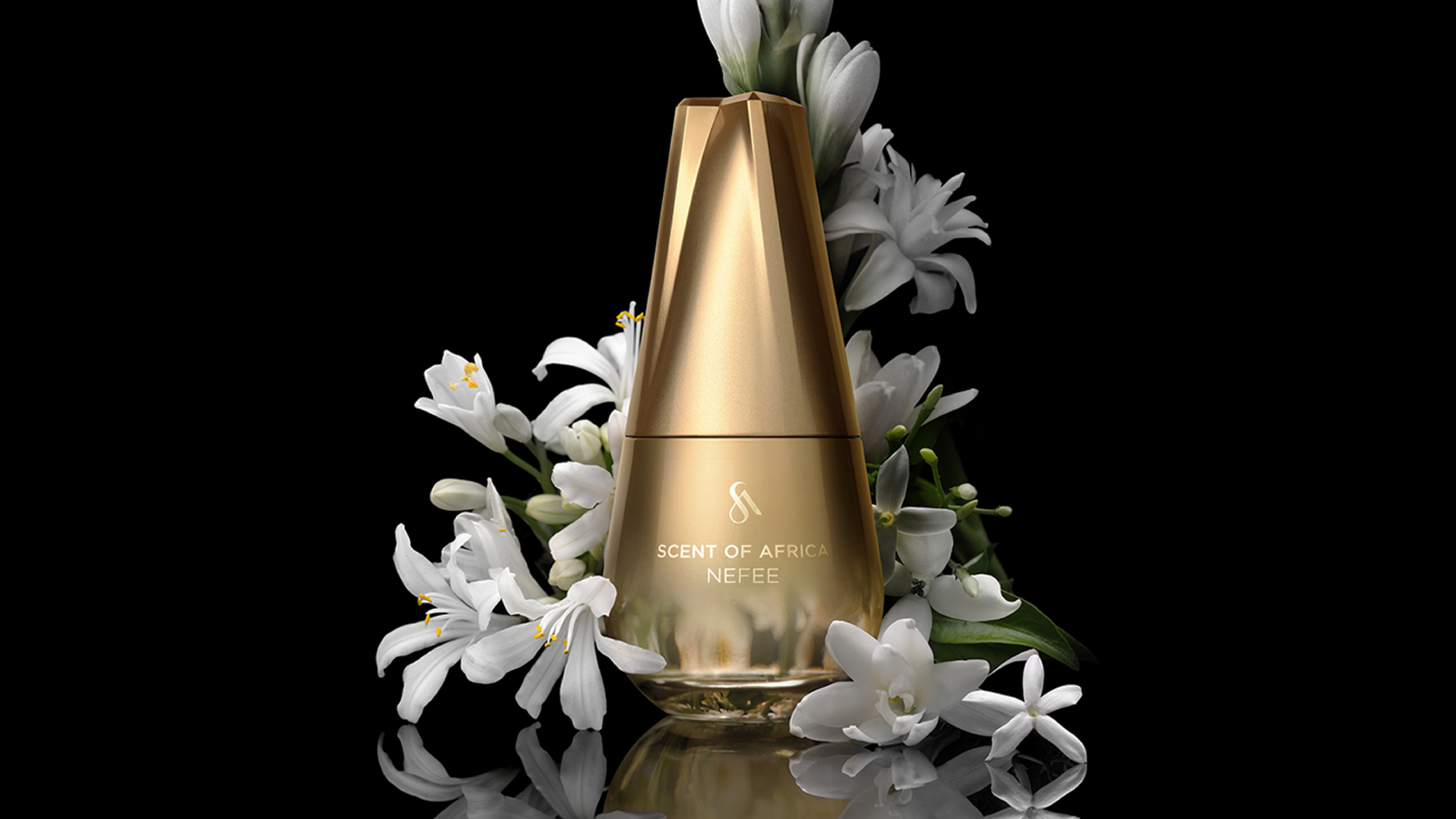 SOA Web Vorlage_01.png